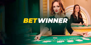 Comprehensive Guide to Support BetWinner 4 Comprehensive Guide to Support BetWinner 4