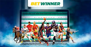 Understanding BetWinner Terms for a Better Betting Experience Understanding BetWinner Terms for a Better Betting Experience