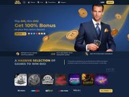 BigWins Online Casino: Gamer Ratings & Our Decision