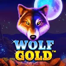 모두가 사랑하는 도박 게임 Wolf Gold