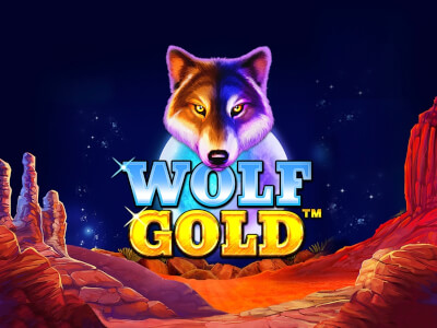 모두가 사랑하는 도박 게임 Wolf Gold