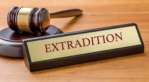 Exploring Career Opportunities for Lawyers A Comprehensive Guide