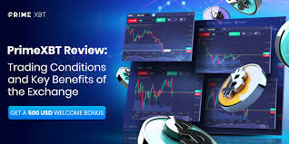 Discover PrimeXBT Trader Your Gateway to Professional Crypto Trading